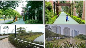 Đường sinh thái Ecopath tại khu đô thị Ciputra Hà Nội