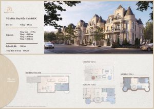Layout mặt bằng thiết kế Biệt thự BT05C Kita Capital Ciputra Hà Nội